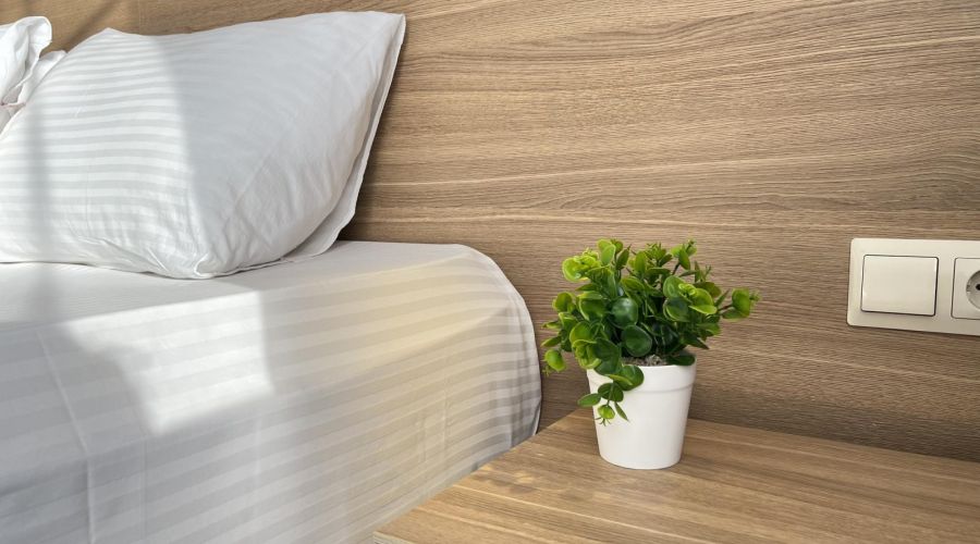 Стандарт улучшенный 2-х местный с доп.местом